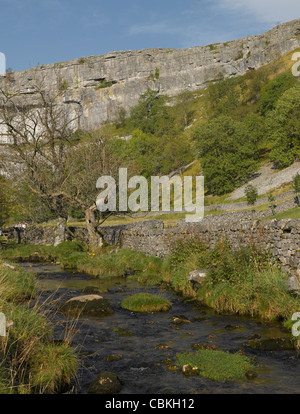 Malham Cove in autunno Malhamdale vicino a Skipton Yorkshire Dales National Park North Yorkshire Inghilterra Regno Unito GB Gran Bretagna Foto Stock