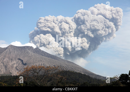 2 gennaio 2010 - nube di cenere seguenti esplosiva eruzione vulcaniana, vulcano Sakurajima, Giappone. Foto Stock
