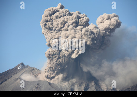 4 gennaio 2010 - nube di cenere seguenti esplosiva eruzione vulcaniana, vulcano Sakurajima, Giappone. Foto Stock