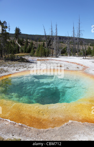 Gloria di mattina piscina primavera calda, Upper Geyser Basin area geotermale, Yellowstone Caldera, il Parco Nazionale di Yellowstone, Wyoming. Foto Stock