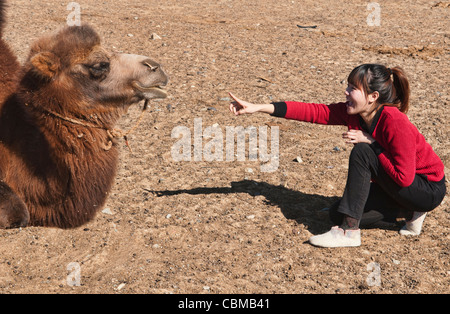 Turistico con una doppia humped Bactrian cammello nel deserto del Gobi della Mongolia Foto Stock