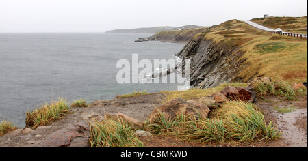 Robusto Cape Breton Coast Foto Stock