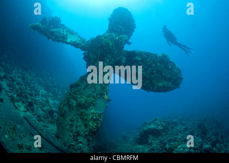 Scuba Diver vicino a elica dell'Umbria relitto, Wingate Reef, Mar Rosso, Sudan Foto Stock