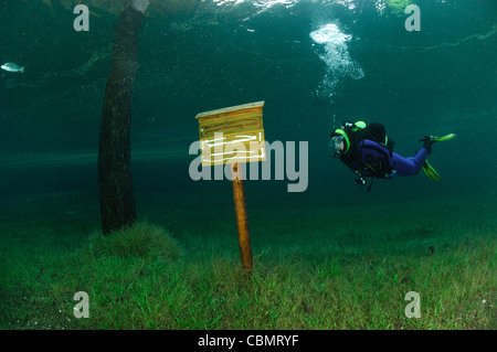 Cartello in legno in overflow Lago Verde, Tragoess, Stiria, Austria Foto Stock