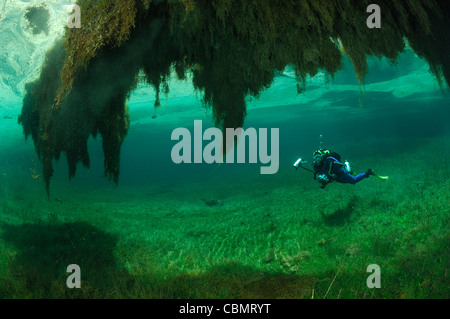 Scuba Diver al Lago Verde, Tragoess, Stiria, Austria Foto Stock