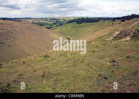 Devil's Dyke chalk valle secca, Sussex, Inghilterra Foto Stock