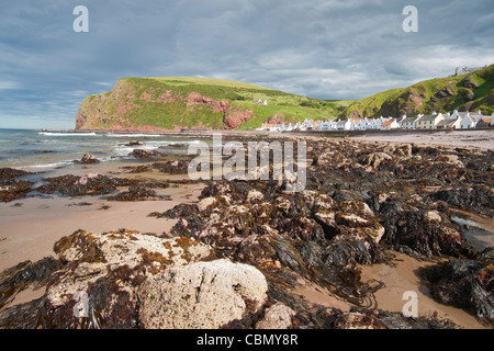 Ultima luce, Pennan beach, Moray Firth, Aberdeenshire, Scozia Foto Stock