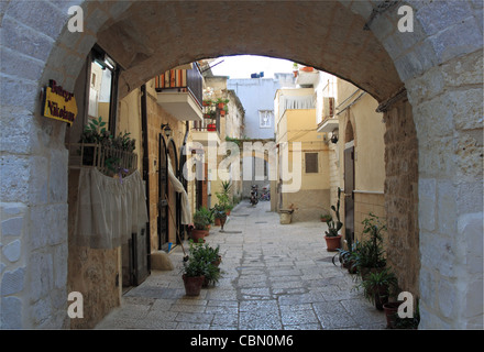 Corte albero lungo, off Via delle Crociate, Bari vecchia, Puglia, Puglia, Italia, Italia, Italie, Mare Adriatico, Europa Foto Stock