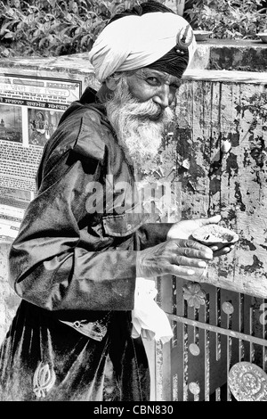 Ritratto di colorato Sika religioso indù uomo nella famosa Bangla Shib Gurudwara Sika Grande Tempio di New Delhi India Foto Stock