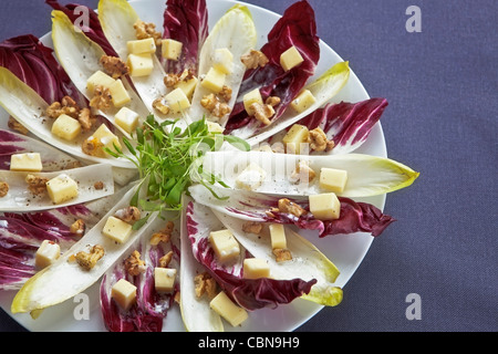 Le cicorie di Bruxelles con insalata di radicchio giallo,radicchio rosso, noci, formaggio di montagna e crescione, servita con un limone-panna acida medicazione Foto Stock