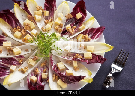 Le cicorie di Bruxelles con insalata di radicchio giallo,radicchio rosso, noci, formaggio di montagna e crescione, servita con un limone-panna acida medicazione Foto Stock