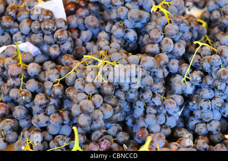 Grappoli di uva Foto Stock