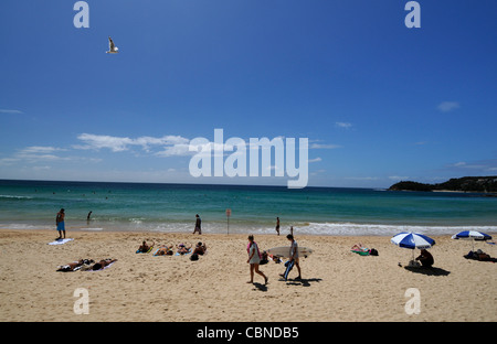 Lucertole da mare e surfisti a Manly Beach sull'Oceano Pacifico vicino a Sydney nel Nuovo Galles del Sud, Australia. Foto Stock