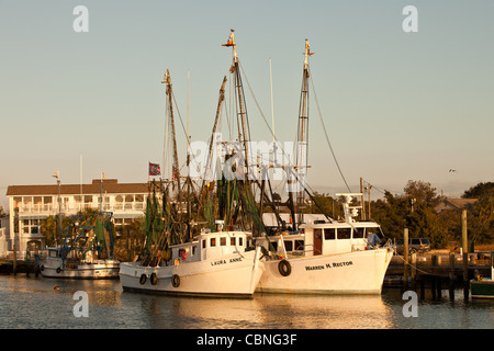 Gamberetti barche ormeggiate in Shem Creek, Mt Pleasant, SC attraverso il porto di Charleston. Foto Stock