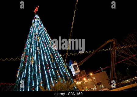 I lavoratori messi tocchi di rifinitura sull'albero di Natale che sovrasta la piazza della Mangiatoia in Cisgiordania città di Betlemme. Foto Stock