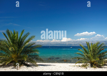 Spiaggia Vicino Vrila campeggio nella parte meridionale di Trpanj, Croazia Foto Stock