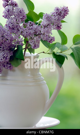 Un vaso bianco con viola rosa fiori lilla Foto Stock