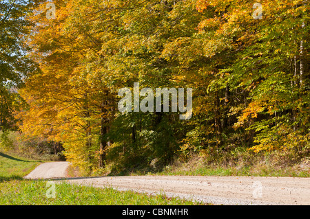 East Dorset Vermont - USA Foto Stock