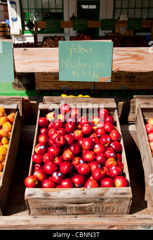 Strada di frutta stand vicino a Fresno in Centreville California sulla strada per Kings Canyon National Park Foto Stock