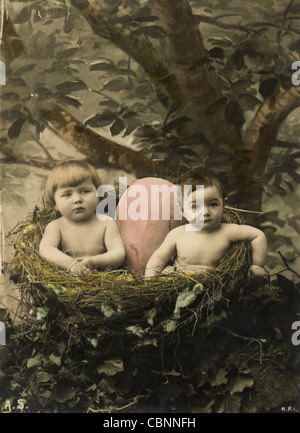Due neonati nel Giant Bird's Nest Foto Stock