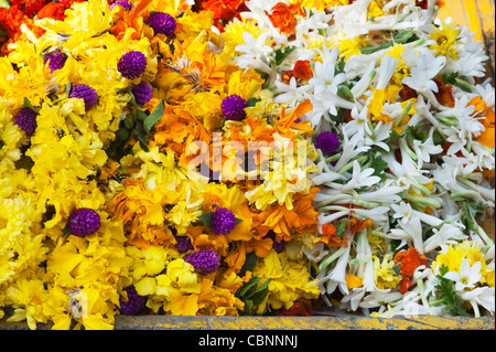 Indian fiori realizzata in ghirlande per la vendita in un mercato indiano. Andhra Pradesh, India Foto Stock