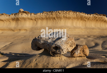 Uno strato di calcare di globigerina realizzata in una forma concava onda da erosione di vento nella costa nord occidentale di Gozo, Malta. Foto Stock