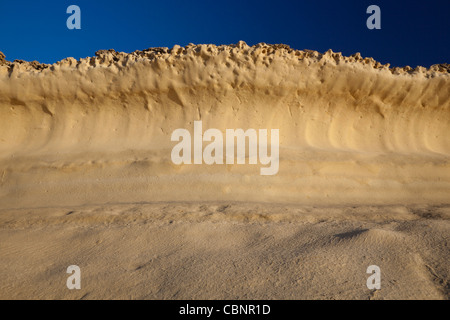 Uno strato di calcare di globigerina realizzata in una forma concava onda da erosione di vento nella costa nord occidentale di Gozo, Malta. Foto Stock