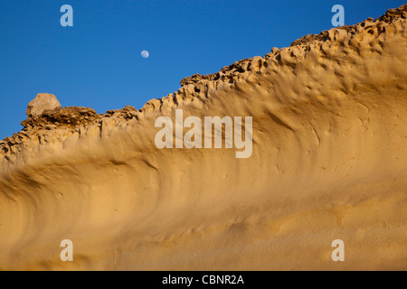 Uno strato di calcare di globigerina realizzata in una forma concava onda da erosione di vento nella costa nord occidentale di Gozo, Malta. Foto Stock