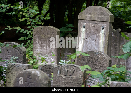 Vecchie lapidi del cimitero, Amburgo, Germania Foto Stock