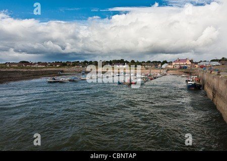 Balintore Harbour, Ross & Cromerty, Scozia Foto Stock