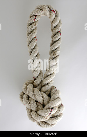 Loop di annodato, spessa, ordinatamente twisted, bianco corda marine. Foto Stock