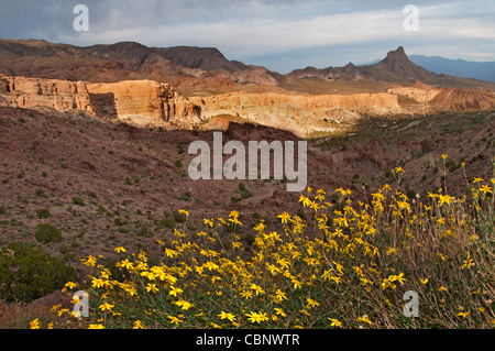 Mohave Kingman Mounyains Arizona Stati Uniti Foto Stock