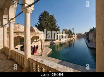 Pool di Abramo o Balikli Gol e Halil ur Rahman moschea di Sanliurfa ovvero Urfa, Turchia Foto Stock