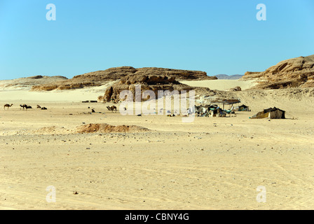 Bedouin camp - nel deserto del Sinai, Egitto Foto Stock
