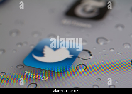 logo twitter sullo schermo dell'ipad Foto Stock