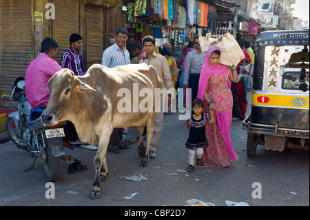 La strada affollata scena mucca effettua il roaming tra le persone a Sardar Mercato a Girdikot, Jodhpur, Rajasthan, India settentrionale Foto Stock