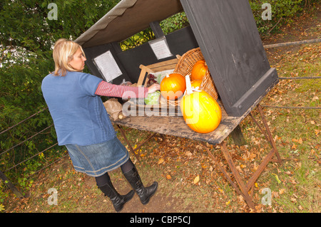 Una donna acquista la frutta e la verdura da un organico di stallo a lato di una strada di campagna nel Regno Unito Foto Stock