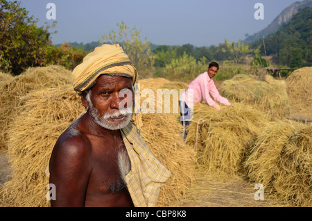 Gli agricoltori di India, che lavorano in aziende agricole di generazione in generazione Foto Stock