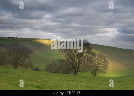 Una vista verso nord attraverso il pittoresco Steyning Bowl nel South Downs National Park in West Sussex. Foto Stock