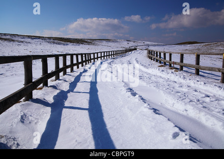 Strada innevata in altopiano utsukushigahara, nagano Giappone Foto Stock