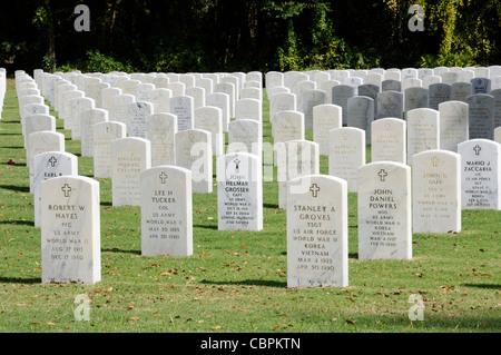 Florida Cimitero nazionale nell'Withlacoochee la Foresta di Stato di Florida USA Foto Stock