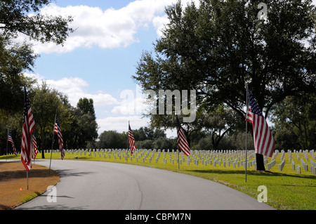 Florida Cimitero nazionale nell'Withlacoochee la Foresta di Stato di Florida USA Foto Stock