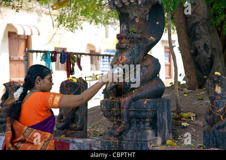 Donna fare una offerta rituale. Sri Meenakshi temple. Madurai. Tamil Nadu. India Foto Stock