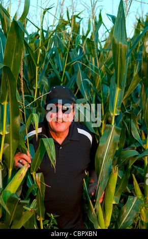 Dyersville Iowa set cinematografico del celebre film Field of Dreams Baseball Park filmato con il turista proveniente dal magico i campi di granoturco Foto Stock