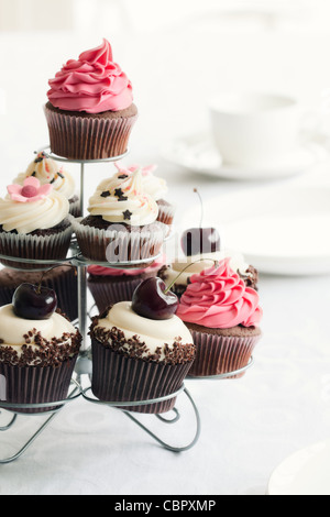 Cupcakes Foto Stock