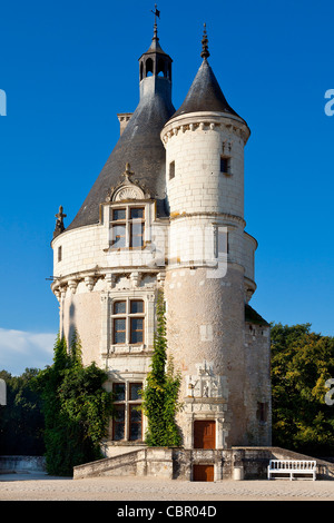 Valle della Loira , Chateau de Chenonceau Foto Stock