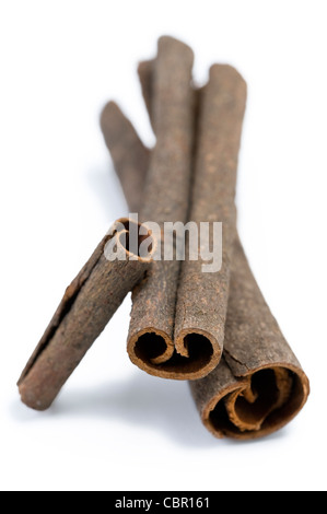 Corteccia di Cannella disposti contro uno sfondo bianco Foto Stock
