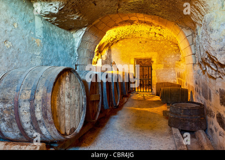 Valle della Loira, Chateau d'Usse Foto Stock