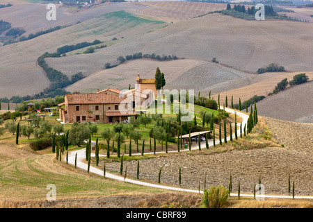 Il paesaggio delle Crete Senesi, a sud-est di Siena, vicino a Asciano, Toscana, Italia, Europa Foto Stock