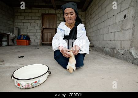 Sciamano lady Scuoiando un dead cavia dopo un tradizionale sessione di guarigione in un villaggio vicino a Otavalo, Ecuador. Foto Stock